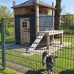 Luxe Zomerwoning Met Omheinde Tuin Voor Hond En Dirkshorn
