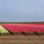 Holiday home Luxe Met Omheinde Tuin Voor Hond En *