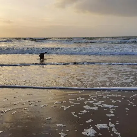 Luxe Met Omheinde Tuin Voor Hond En Hébergement de vacances