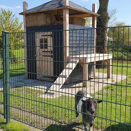 Luxe Met Omheinde Tuin Voor Hond En Dirkshorn