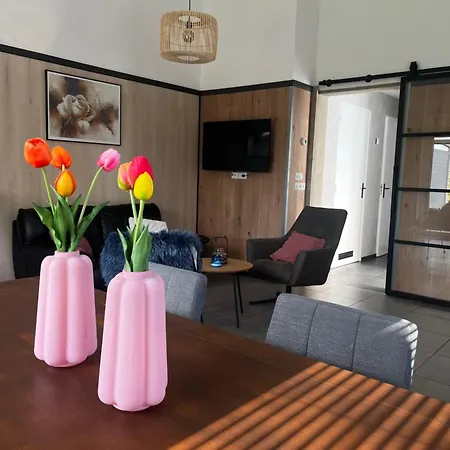 Luxe Zomerwoning Met Omheinde Tuin Voor Hond En