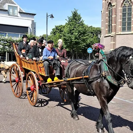 Luxe Zomerwoning Met Omheinde Tuin Voor Hond En Dirkshorn
