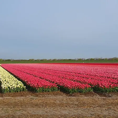 בית נופש Luxe Met Omheinde Tuin Voor Hond En *