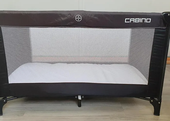 Luxe Met Omheinde Tuin Voor Hond En