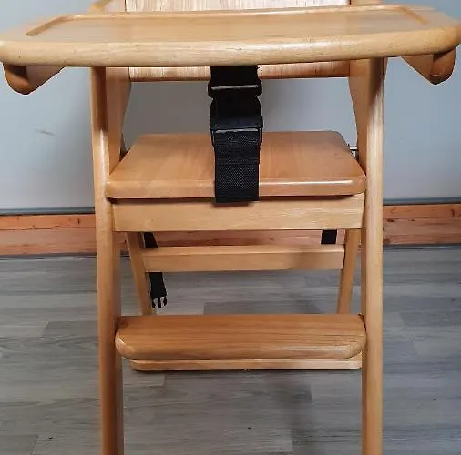 Luxe Zomerwoning Met Omheinde Tuin Voor Hond En Vakantiehuis