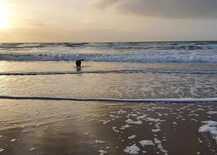 Luxe Met Omheinde Tuin Voor Hond En בית נופש