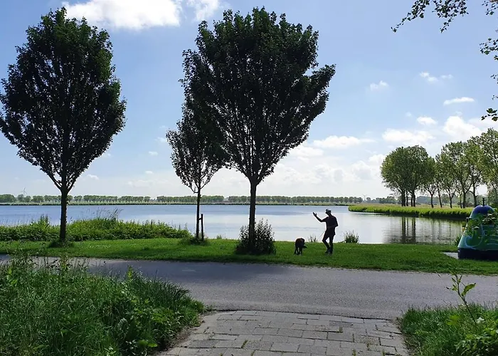 Vakantiehuis Luxe Zomerwoning Met Omheinde Tuin Voor Hond En