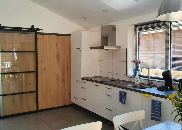 Luxe Zomerwoning Met Omheinde Tuin Voor Hond En Vakantiehuis