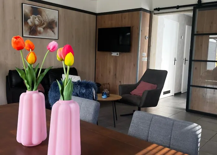 Luxe Zomerwoning Met Omheinde Tuin Voor Hond En