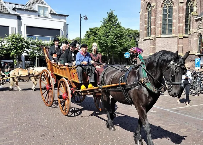 Luxe Zomerwoning Met Omheinde Tuin Voor Hond En Dirkshorn