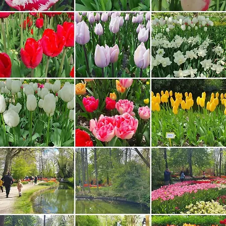 Luxe Met Omheinde Tuin Voor Hond En بيت للعطل