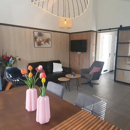 Luxe Met Omheinde Tuin Voor Hond En Сasa de vacaciones Dirkshorn