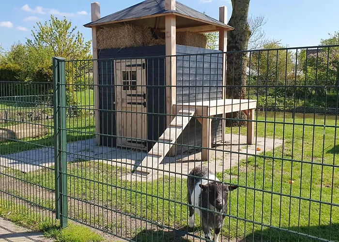 Luxe Met Omheinde Tuin Voor Hond En Dirkshorn